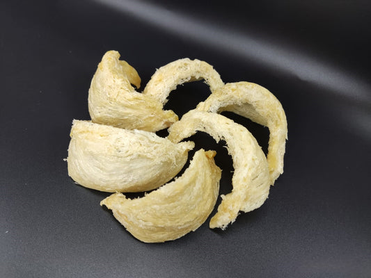 金絲燕